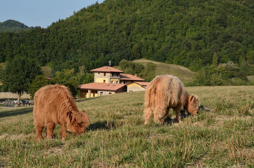 Agriturismo Ca Bella Villa San Sebastiano Curone Exterior foto